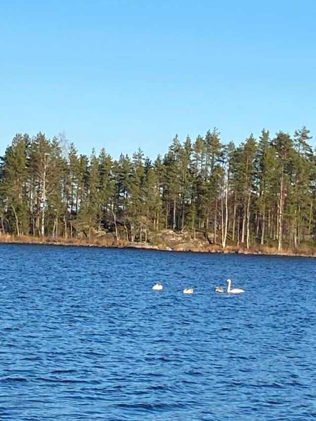 Дома для отпуска Cottage on the shores of Lake Saimaa Пуумала-25