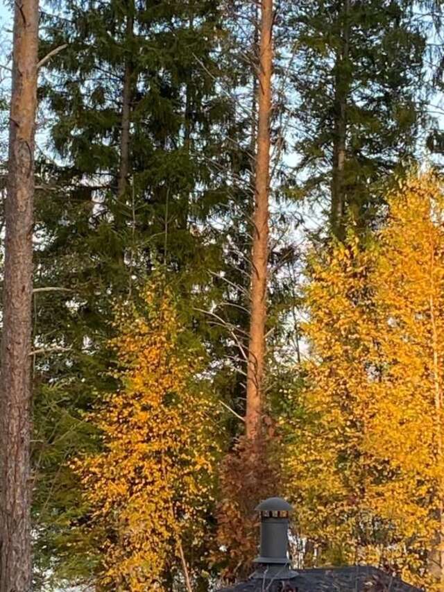 Дома для отпуска Cottage on the shores of Lake Saimaa Пуумала-35